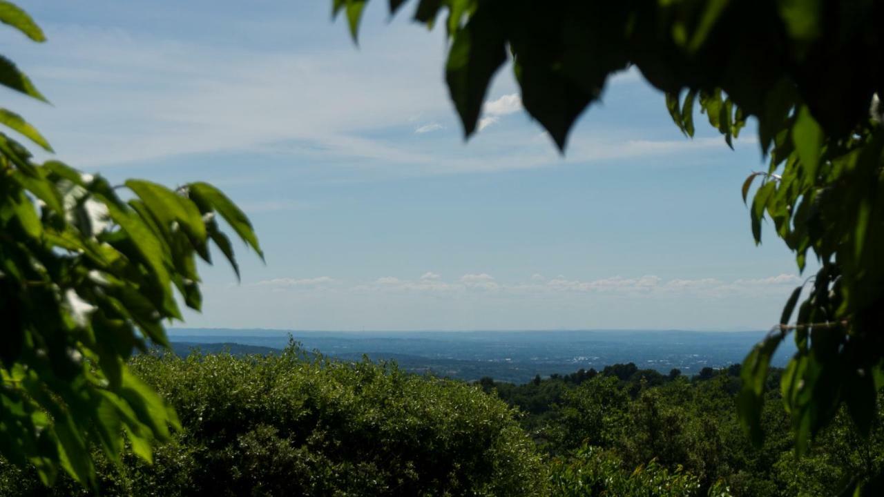 Les Cerisiers De Stella Villa Blauvac Bagian luar foto